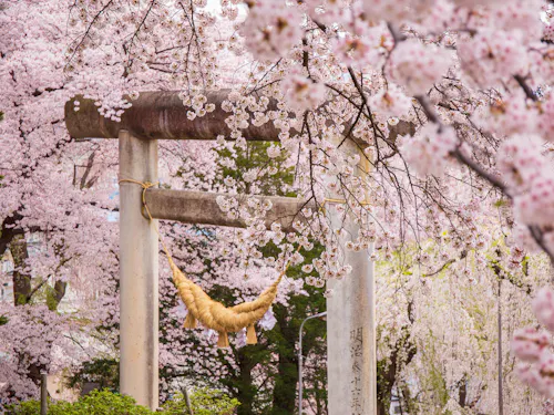 Eboshiyama Park Eboshiyama Park