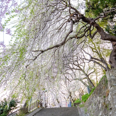 Eboshiyama Park Eboshiyama Park