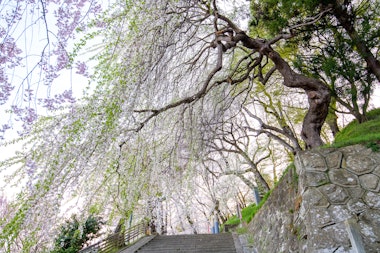 Eboshiyama Park