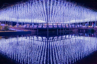 Ashikaga Flower Park