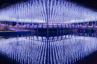 A canopy of cascading blue and white LED lights is reflected in a calm body of water at night, creating a symmetrical, glowing display with a bridge and plants visible in the background.