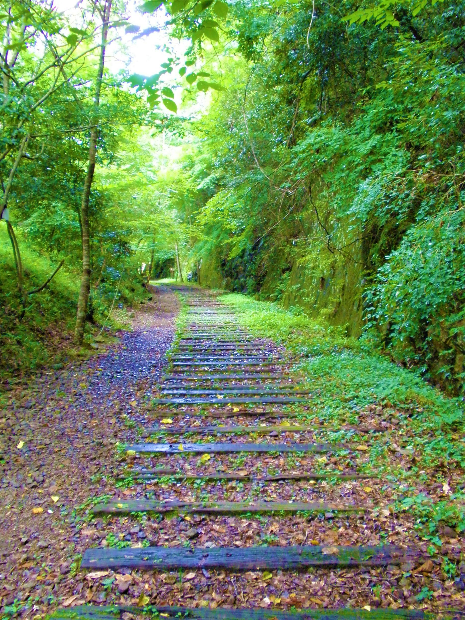 Former Fukuchiyama Line Tunnel Trace
