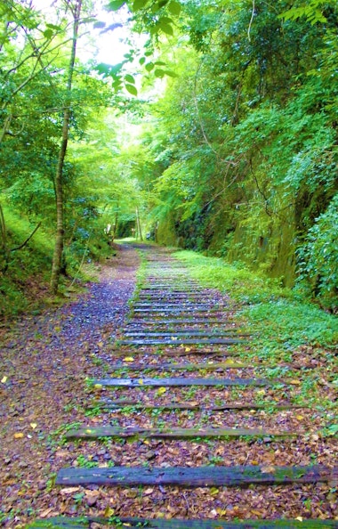 Former Fukuchiyama Line Tunnel Trace Former Fukuchiyama Line Tunnel Trace