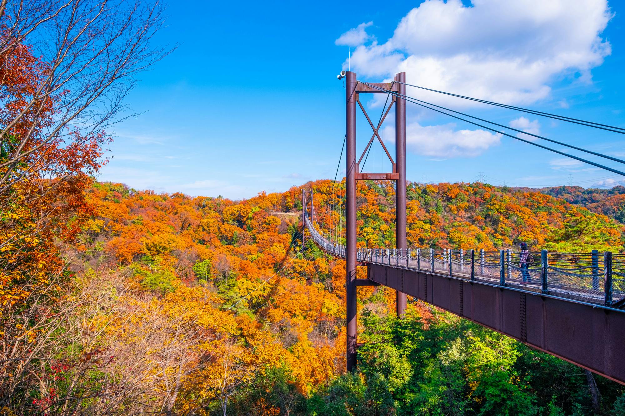 Fumin no Mori Hoshida Park