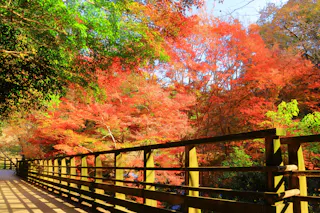 Fumin no Mori Hoshida Park