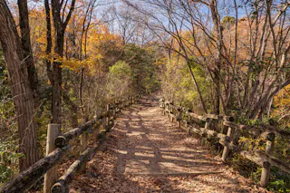 Fumin no Mori Hoshida Park