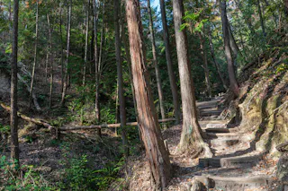 Fumin no Mori Hoshida Park