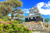 Hamamatsu Castle