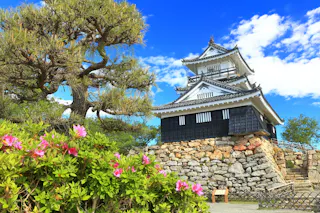 Hamamatsu Castle