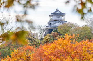 Hamamatsu Castle