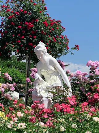 Himeji Rose Garden