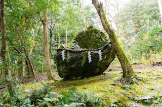 Izumo Daijingu Shrine