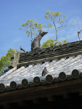 Kanzeonji Temple