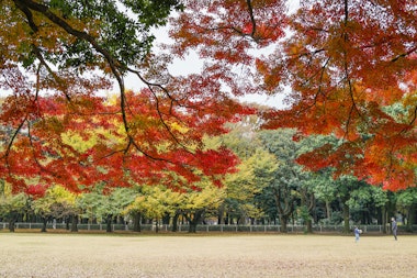 Kinuta Park