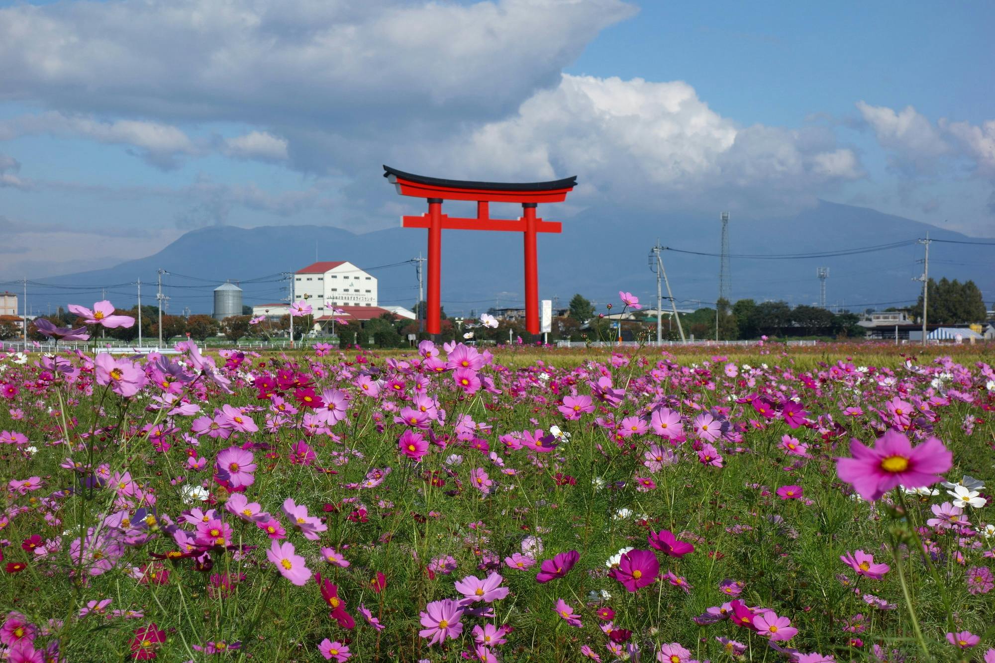 Koizumi Inari Shrine