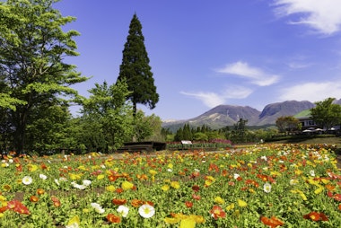 Kuju Flower Park