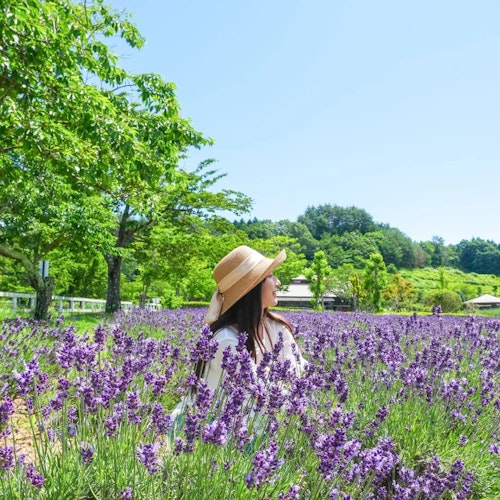 Makiba no Yakata Makiba no Yakata