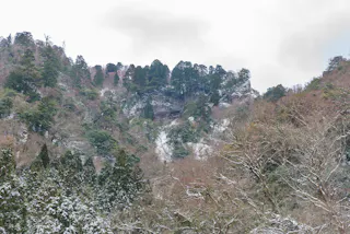 Nageire-dou Temple (Okuin Nageiredou)
