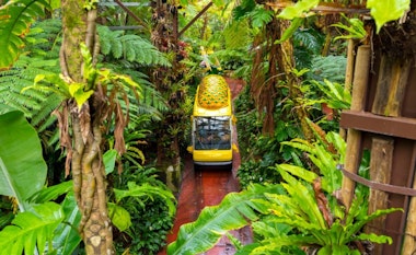 Nago Pineapple Park