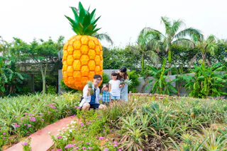 Nago Pineapple Park