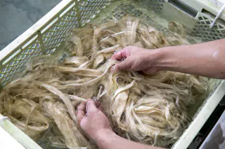 Nao Tesuki Japanese Paper