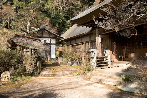 A traditional Japanese shrine complex with wooden buildings, one with a thatched roof and another with tiled roofing, surrounded by trees and plants on a sunny day. Steps and stone lanterns are visible in the foreground.