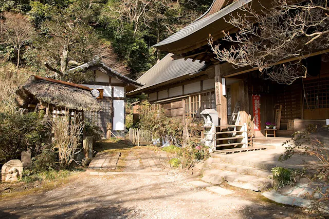 A traditional Japanese shrine complex with wooden buildings, one with a thatched roof and another with tiled roofing, surrounded by trees and plants on a sunny day. Steps and stone lanterns are visible in the foreground.