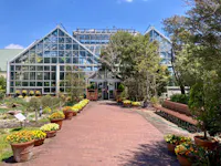 A large glass greenhouse with a brick walkway leading to its entrance, lined with potted plants and flowers. Trees and benches are on either side, and the sky above is clear and blue.