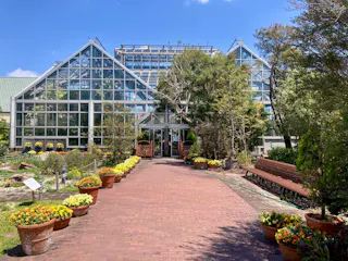 A large glass greenhouse with a brick walkway leading to its entrance, lined with potted plants and flowers. Trees and benches are on either side, and the sky above is clear and blue.
