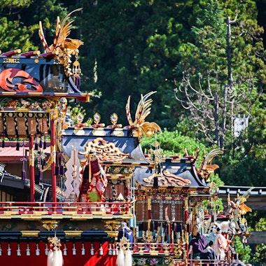 Autumn Takayama Festival (Hachiman Matsuri) Ornate, colorful Japanese festival floats with gold and red decorations are paraded outdoors, surrounded by lush green trees and traditional wooden buildings. A large vertical sign with Japanese characters is visible on the right.