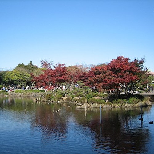 Children's Nature Park Children's Nature Park