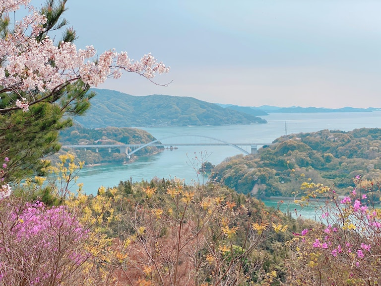 Hirakiyama Park