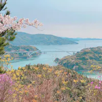 Hirakiyama Park A scenic view of a bridge spanning across blue water, surrounded by green hills and spring flowers, including pink cherry blossoms and other colorful blooms in the foreground.
