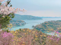 A scenic view of a bridge spanning across blue water, surrounded by green hills and spring flowers, including pink cherry blossoms and other colorful blooms in the foreground.