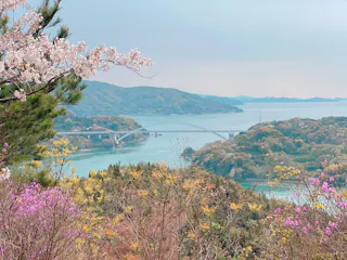A scenic view of a bridge spanning across blue water, surrounded by green hills and spring flowers, including pink cherry blossoms and other colorful blooms in the foreground.