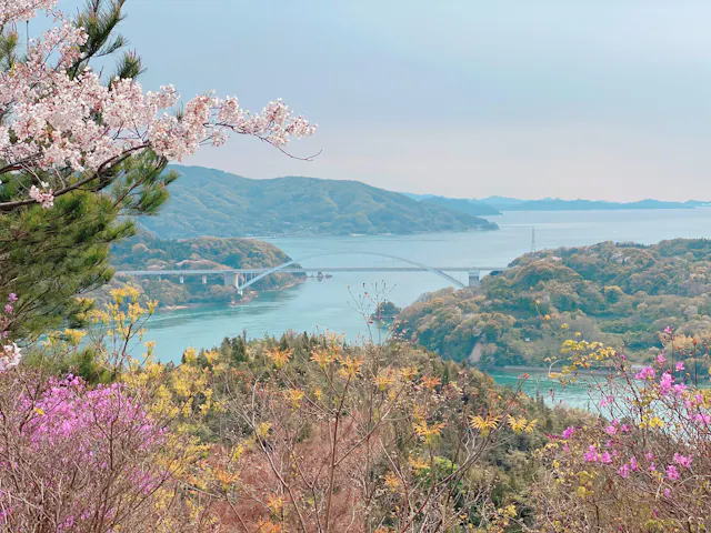 A scenic view of a bridge spanning across blue water, surrounded by green hills and spring flowers, including pink cherry blossoms and other colorful blooms in the foreground.
