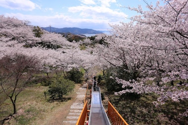 Hirakiyama Park