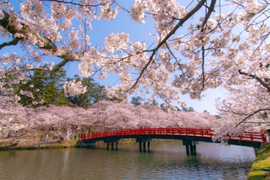 Hirosaki Park (Castle)