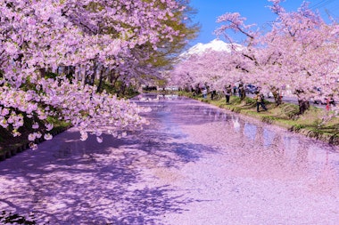 Hirosaki Park (Castle)