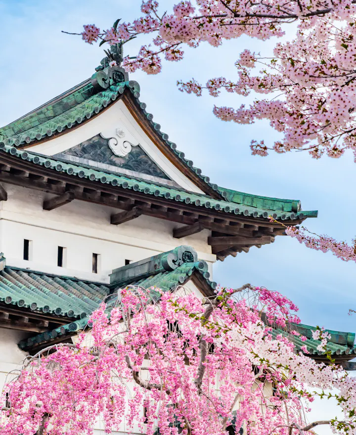 Hirosaki Park (Castle) Hirosaki Park (Castle)