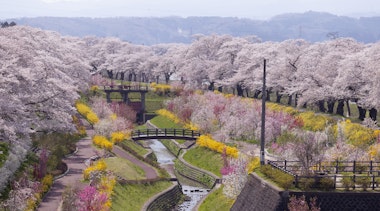 Hitome Senbonzakura