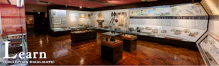 A museum exhibit room with glass display cases holding artifacts, documents, and photos. Informational panels and historical items are showcased on walls and in cabinets. The word "Learn" appears in large text at the bottom left.