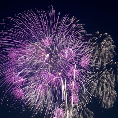 Kanagawa Shinbun Fireworks Festival Kanagawa Shinbun Fireworks Festival