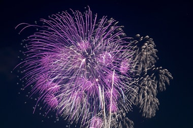 Kanagawa Shinbun Fireworks Festival