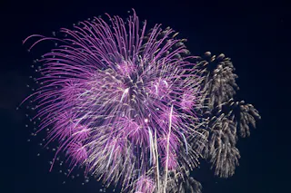 Vibrant fireworks burst in the night sky, with bright pink and white trails radiating outward against a dark background.