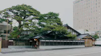 Traditional Japanese building with black tiled roof and wooden accents, partially obscured by large green pine trees, sits next to a modern multi-story office building along a quiet street.