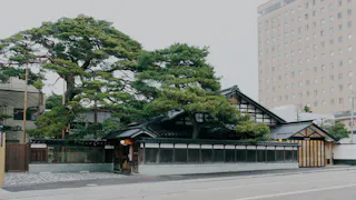 Traditional Japanese building with black tiled roof and wooden accents, partially obscured by large green pine trees, sits next to a modern multi-story office building along a quiet street.