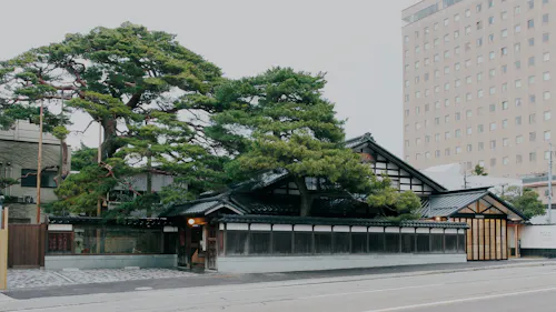 Traditional Japanese building with black tiled roof and wooden accents, partially obscured by large green pine trees, sits next to a modern multi-story office building along a quiet street.