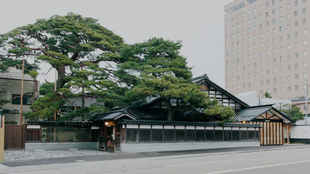 Traditional Japanese building with black tiled roof and wooden accents, partially obscured by large green pine trees, sits next to a modern multi-story office building along a quiet street.