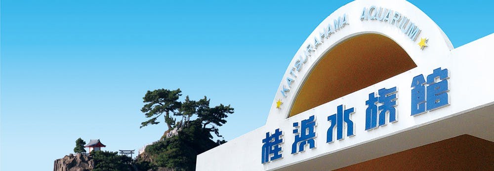 Entrance sign of the Katsurahama Aquarium with blue text and a curved white arch against a clear sky; trees and a small gazebo-like structure appear on a distant hill to the left.